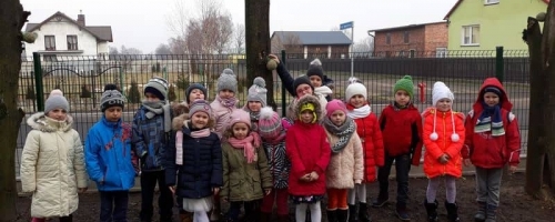 DOKARMIAMY PTAKI ZIMĄ