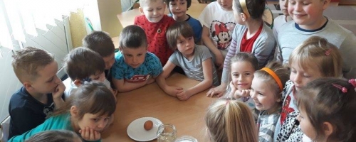 Doświadczenia z jajkiem