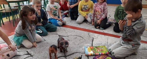 POZNAJEMY DINOZAURY